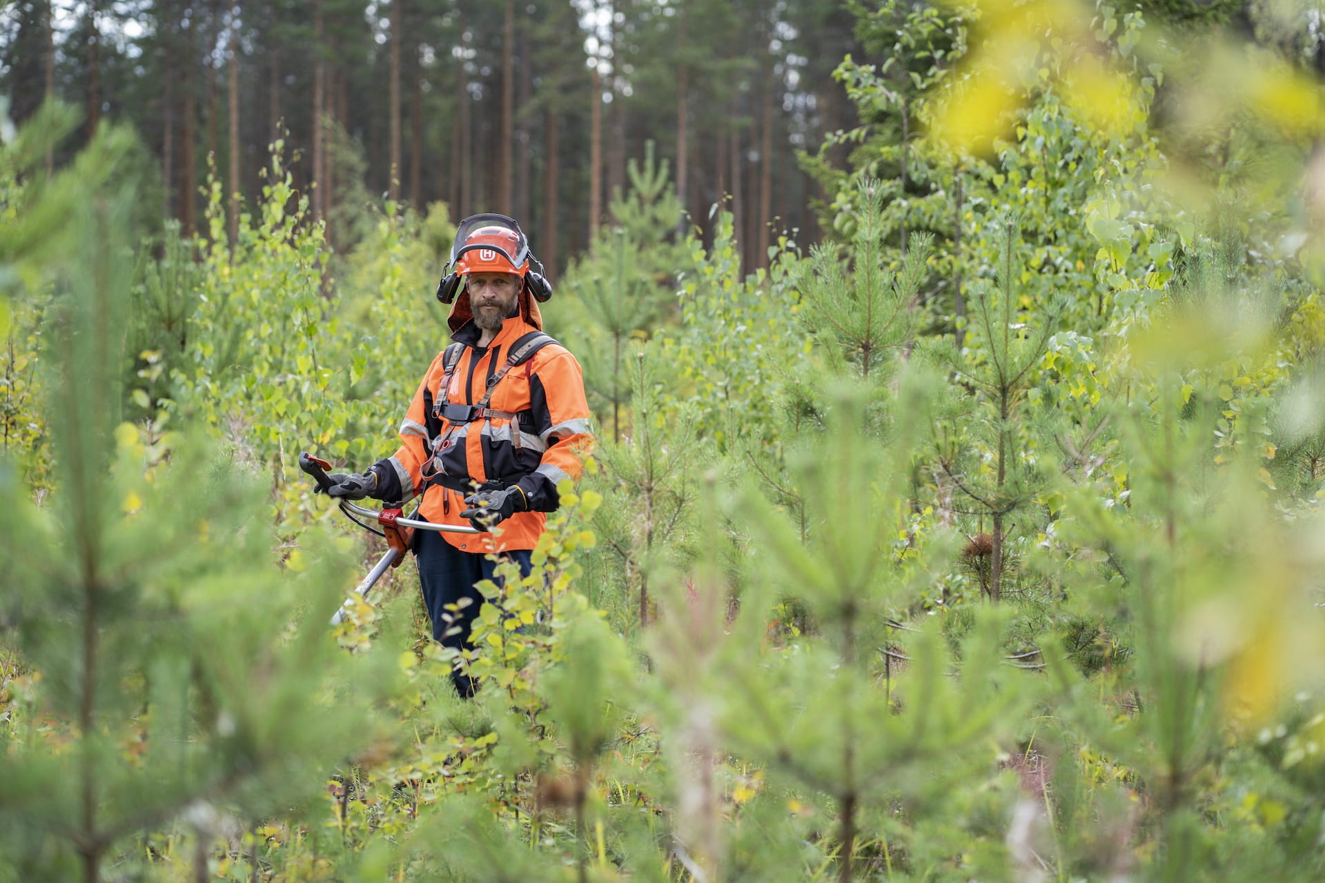 Tilaa metsänhoitotyöt 