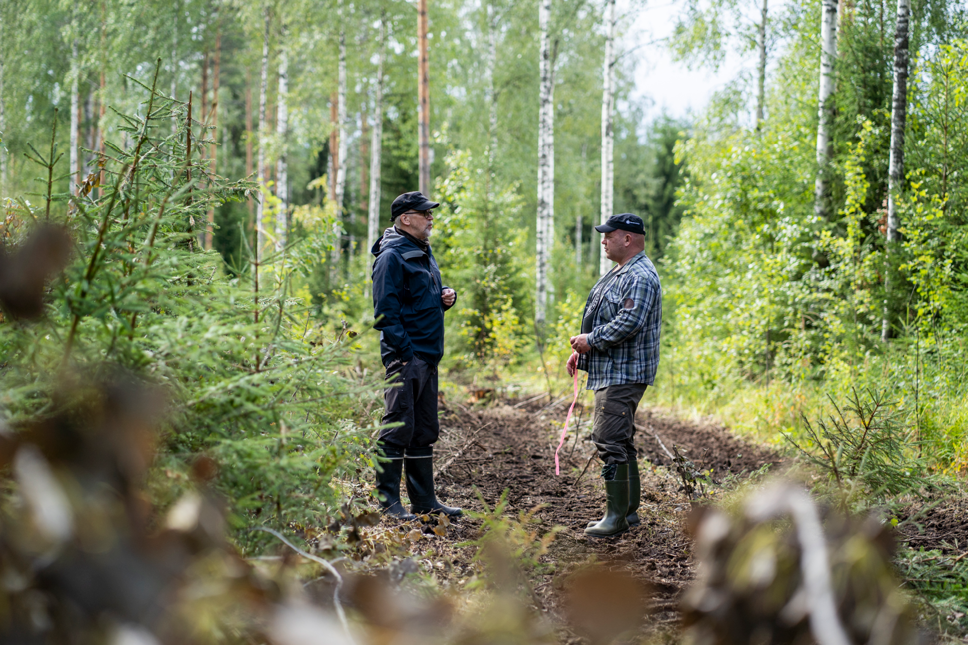 Nå din egen skogsexpert