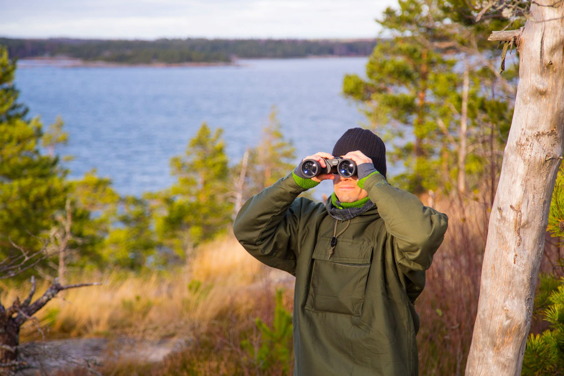 Viltvårdsmässig skogsbruksplan