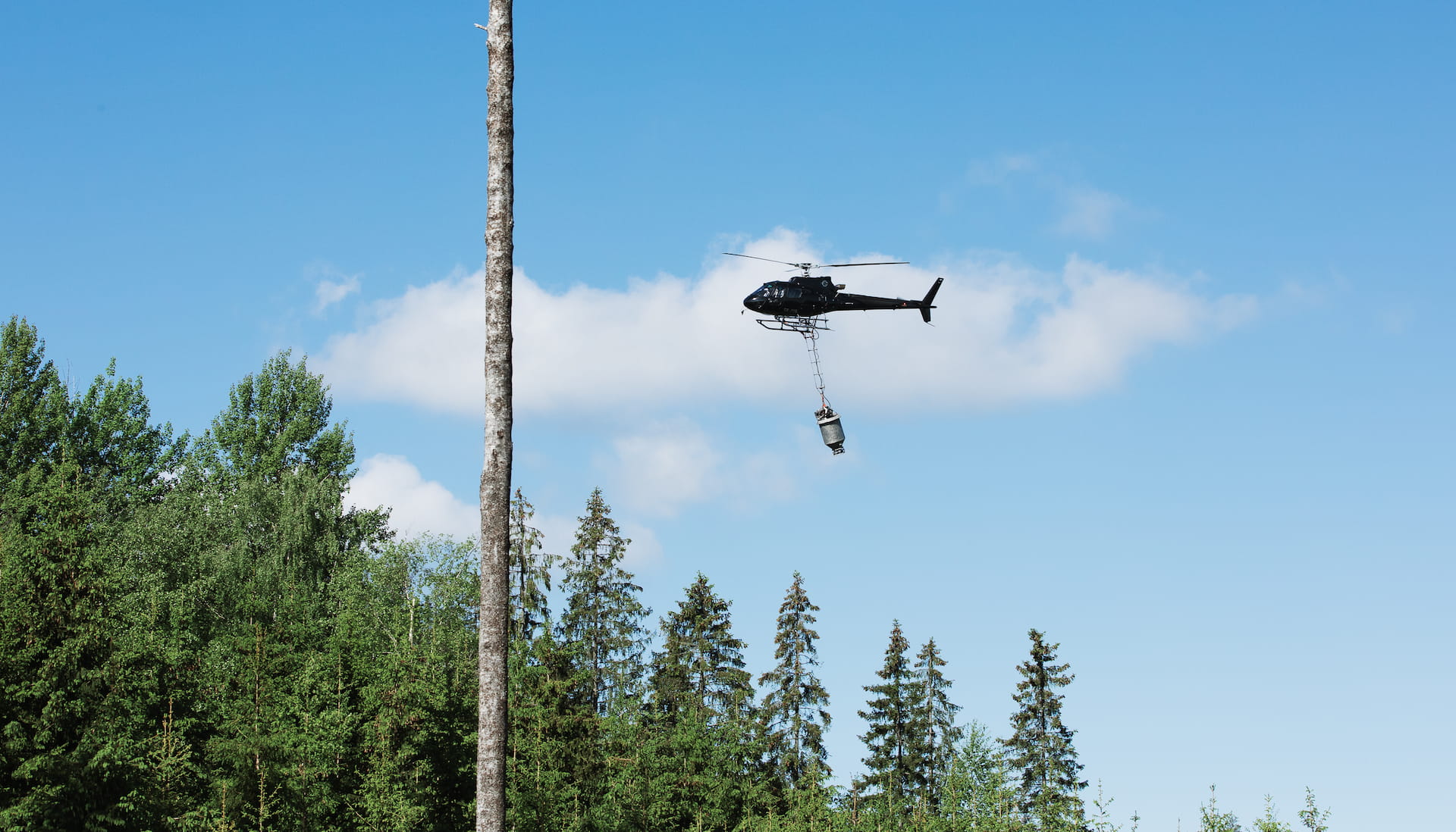 Turvemaiden metsätaloutta on tarkasteltava kokonaisuutena