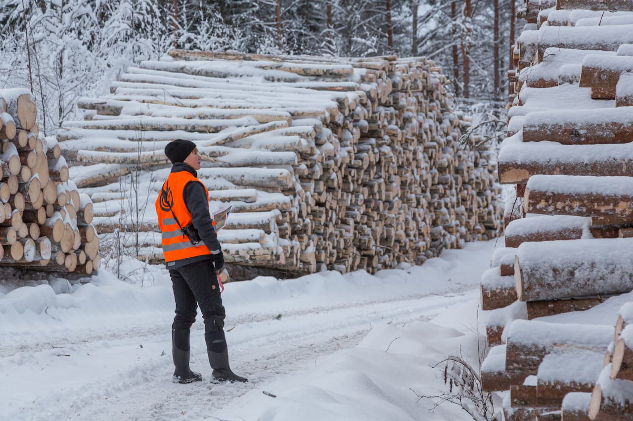 Virkeshandelsöversikt januari