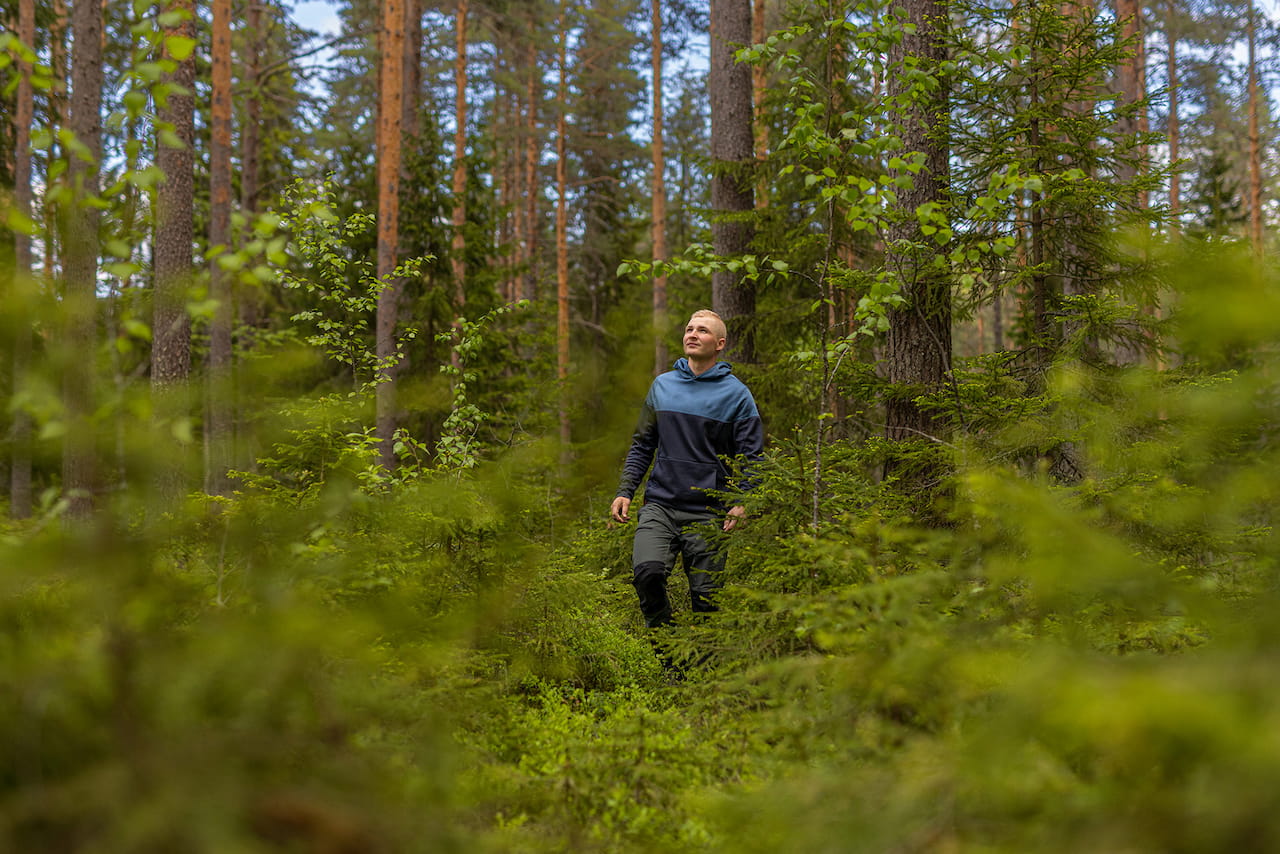 Virkeshandelsöversikt juni 2023