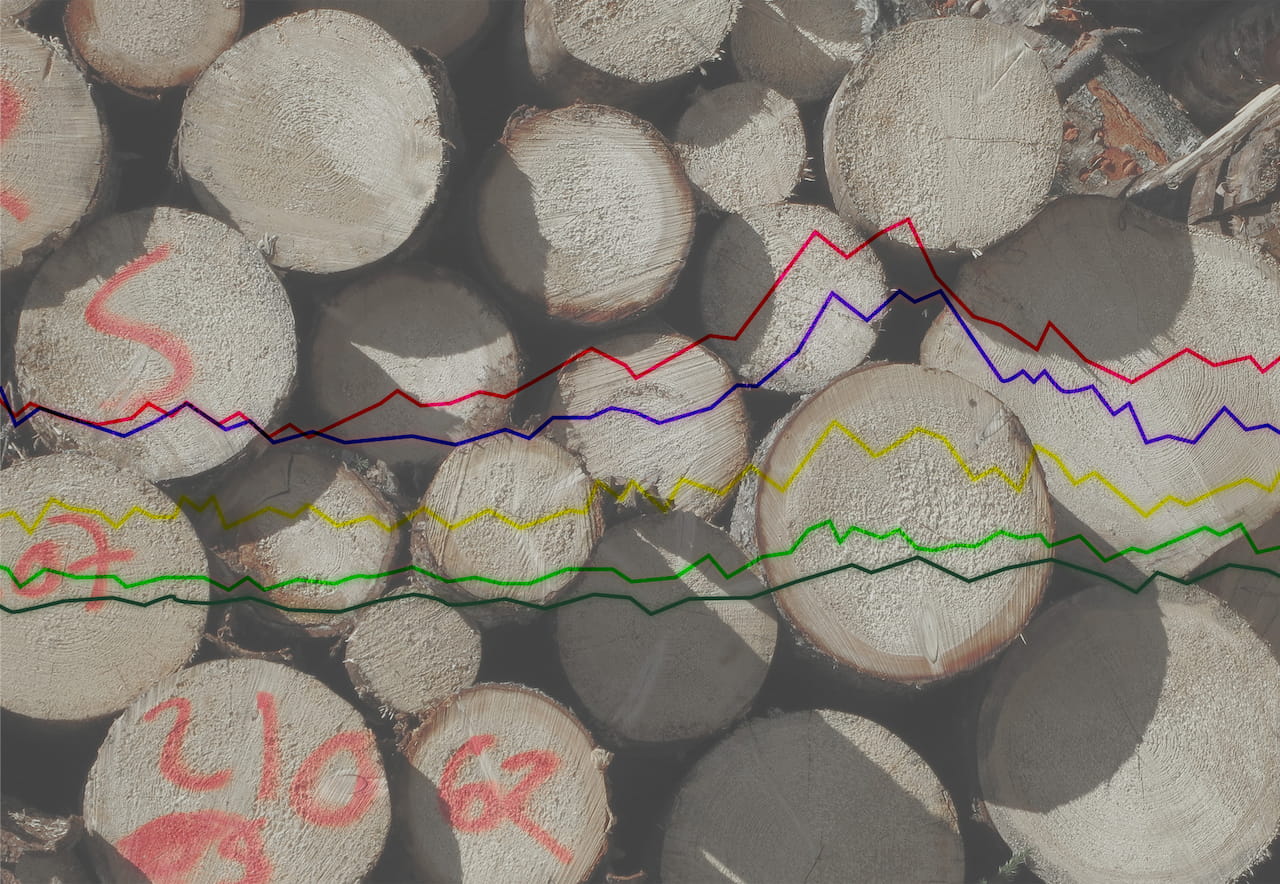 Konjunkturen och vädret verkar variera kraftigt - Skogsägare bör vara noggranna när de köper och avverkar virke