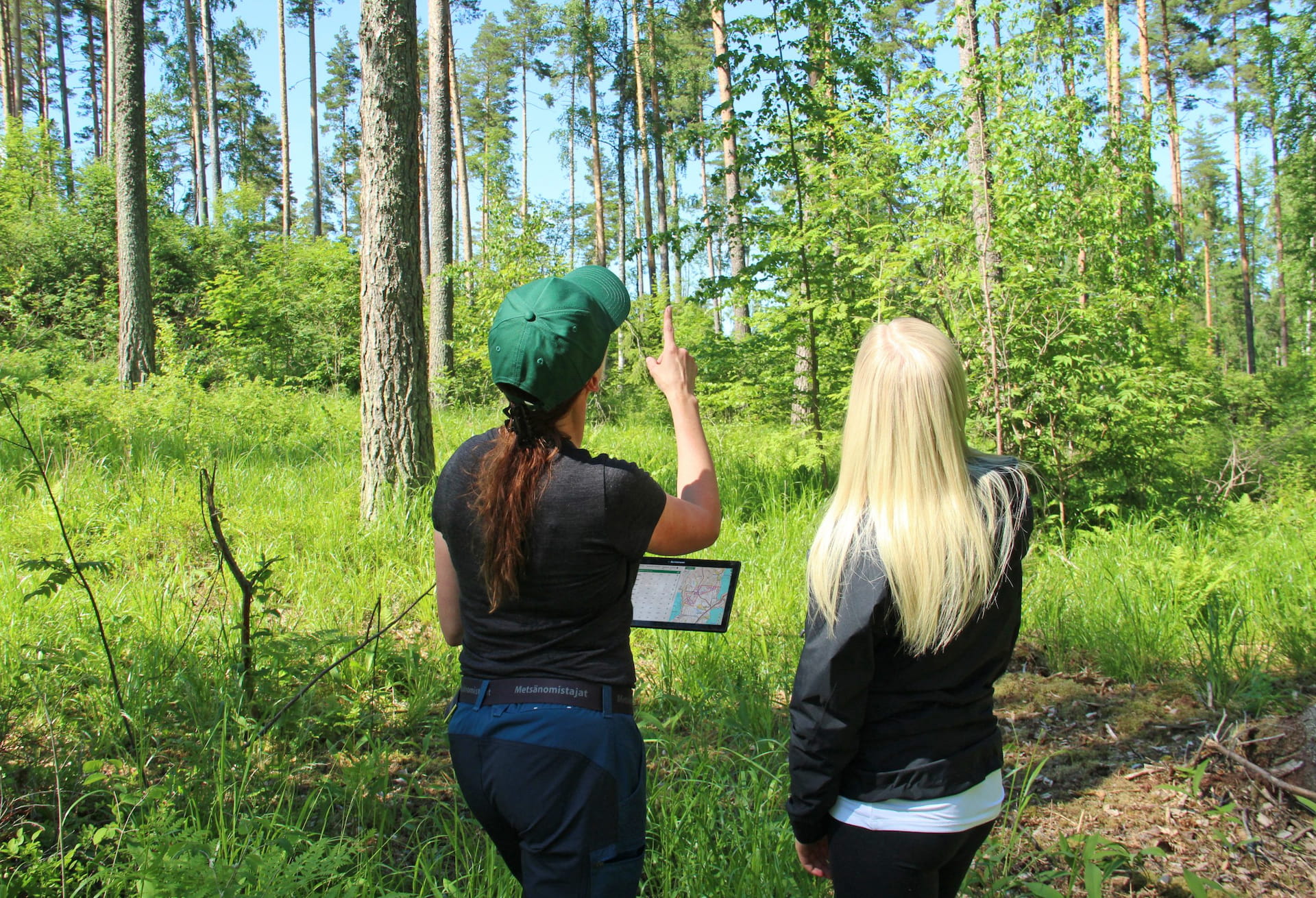 Uudistuneet metsänhoitosuositukset -Metsänomistajat-webinaari