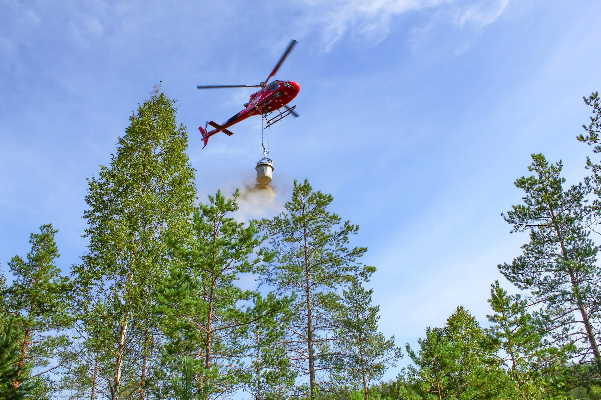 Parempaa tuottoa lannoituksella -Metsänomistajat-webinaari