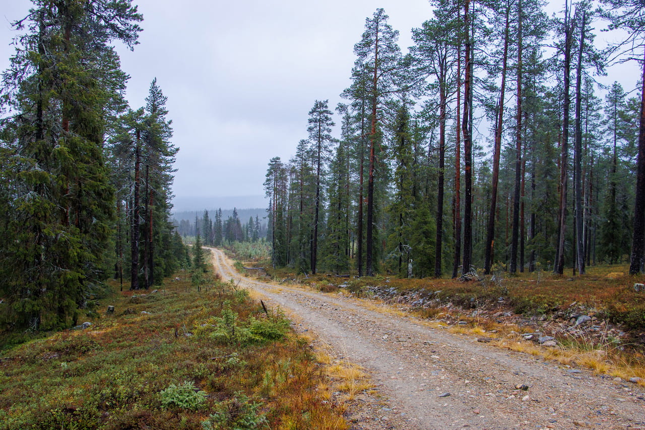 Alueelliset yksityistiepäivät käynnistyvät 11.2.