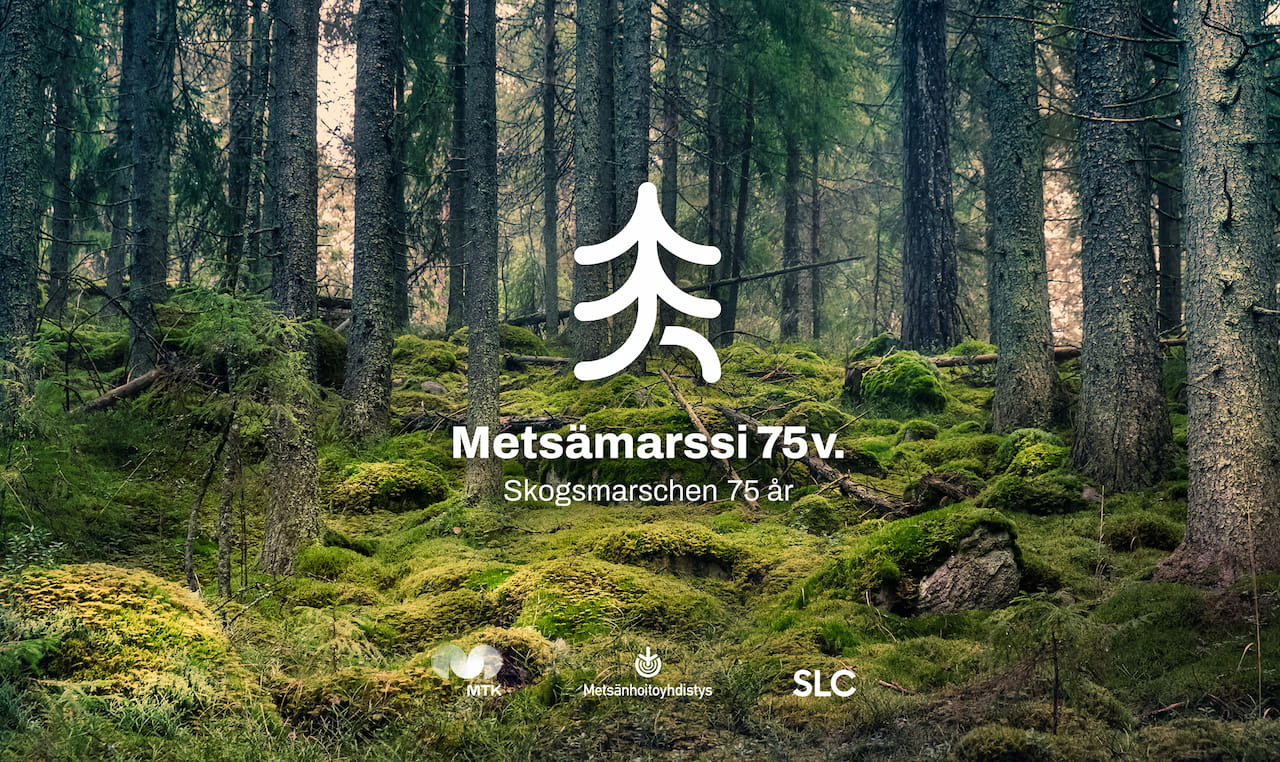 Metsämarssi täyttää 75 vuotta – kestävää metsänhoitoa juhlitaan Narinkkatorilla 10. kesäkuuta