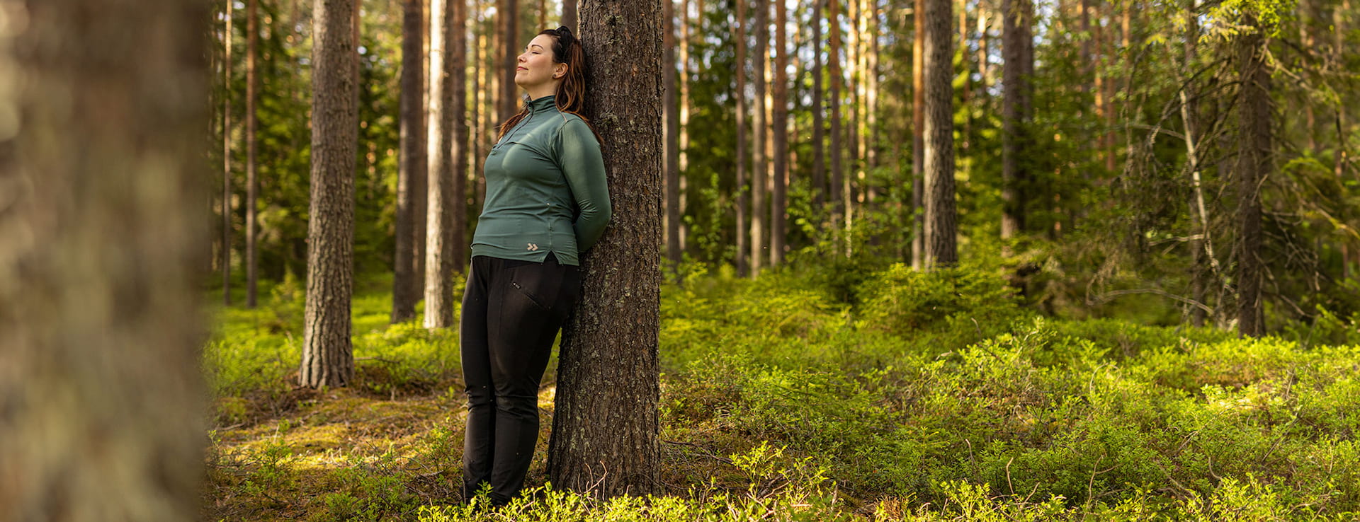 Metsänomistajien jäsenpalvelut ja –edut, Metsänomistaja-webinaari