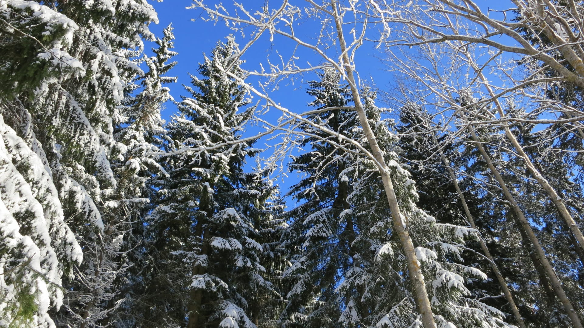 Tupariglögit uudella toimistolla Kouvolan keskustassa