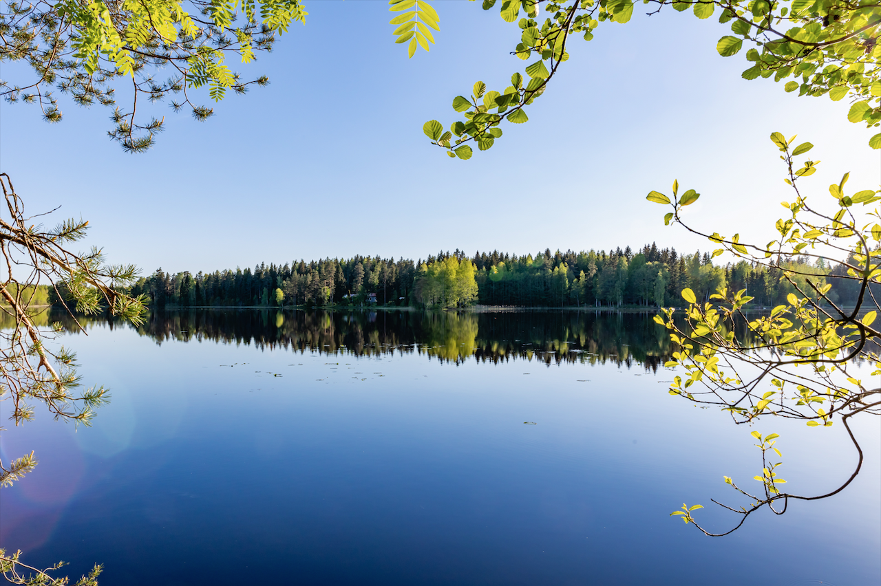 kesäinen järvi