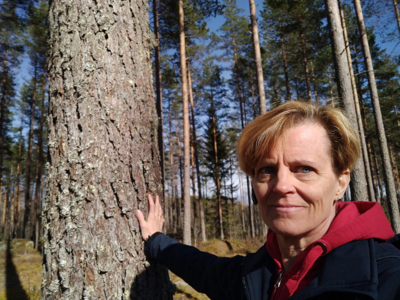 Santtu Råberg