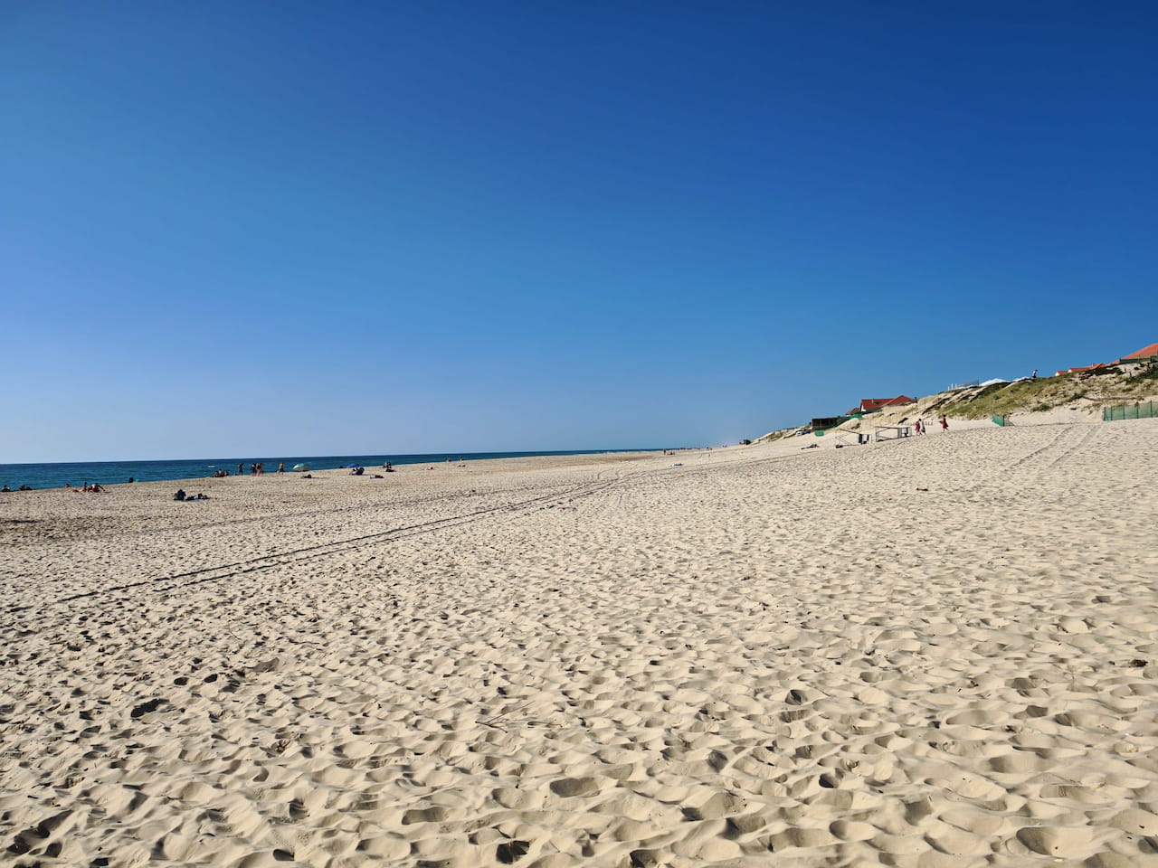 Metsäasiantuntijat kesälomilla 2025