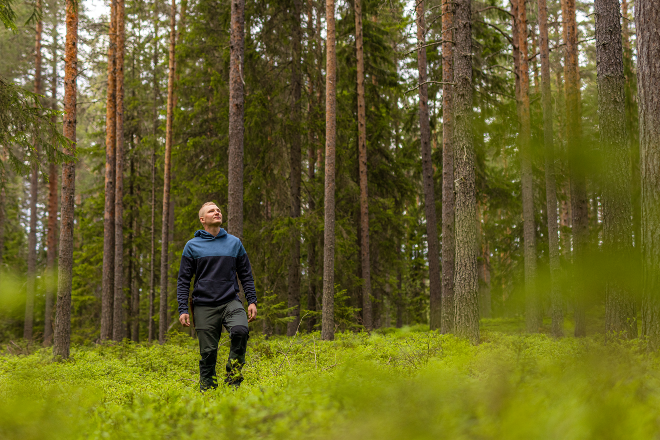 Omistajanvaihdosilta: Opi metsätilamarkkinoista ja metsäomaisuuden kaupasta vapailla markkinoilla