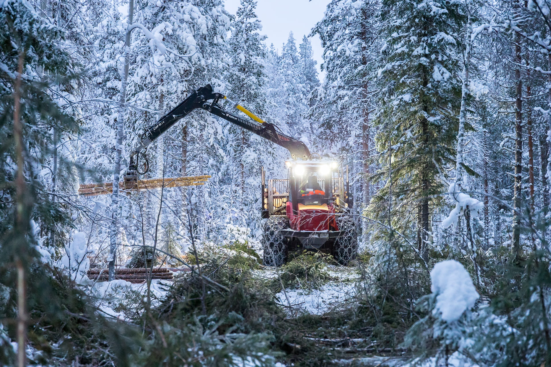 Puunkorjuunäytös Pellossa yhdessä Sunnyhill Farmin kanssa