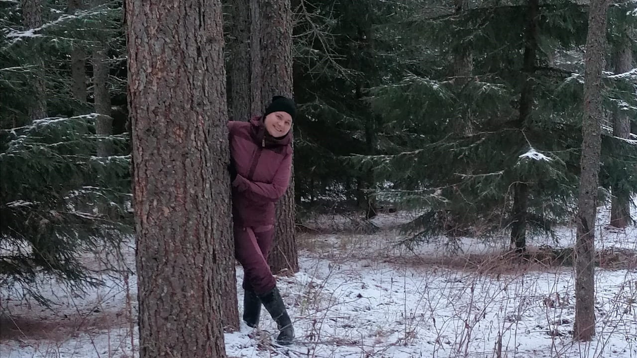 Metsien talouskäyttö, hiilensidonta ja luonnon monimuotoisuus ovat yhdistettävissä. Ei tehdä maailmasta mustavalkoista.