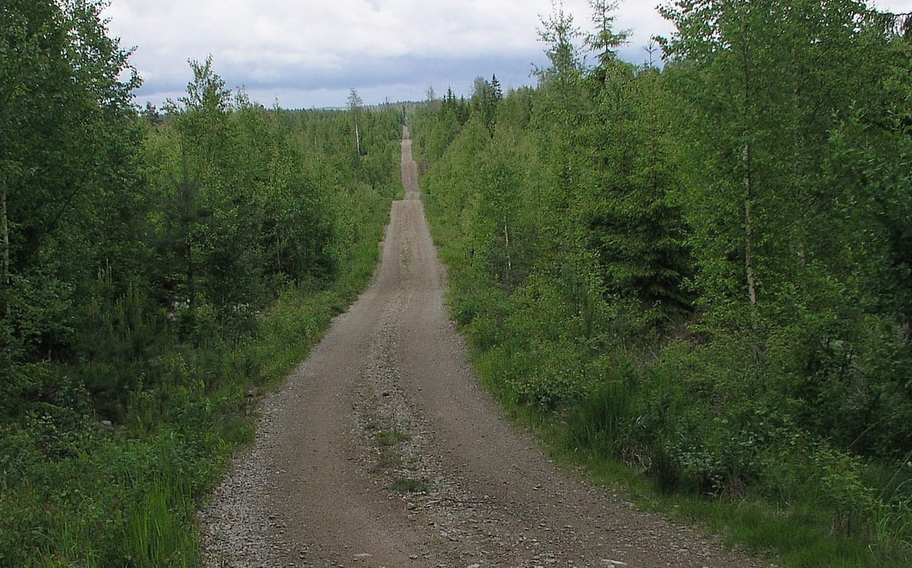 Metsätalouden tukiin tulee muutoksia vuodenvaihteessa