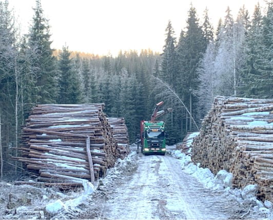 Puumarkkinakatsaus tammikuu 2025