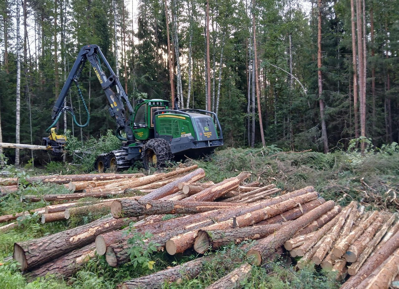 Nyt tarkkana puukaupoissa - kilpailutuksen merkitys erittäin suuri!
