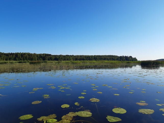 Helmi-ohjelman kunnostuskohteita haetaan Päijät-Hämeessä - lähde retkelle