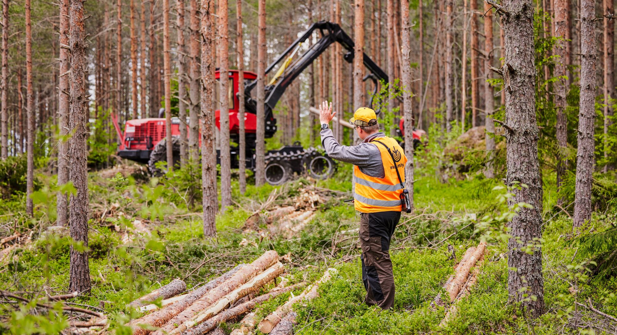 Puun hinnat Päijät-Hämeessä huhtikuussa 2025