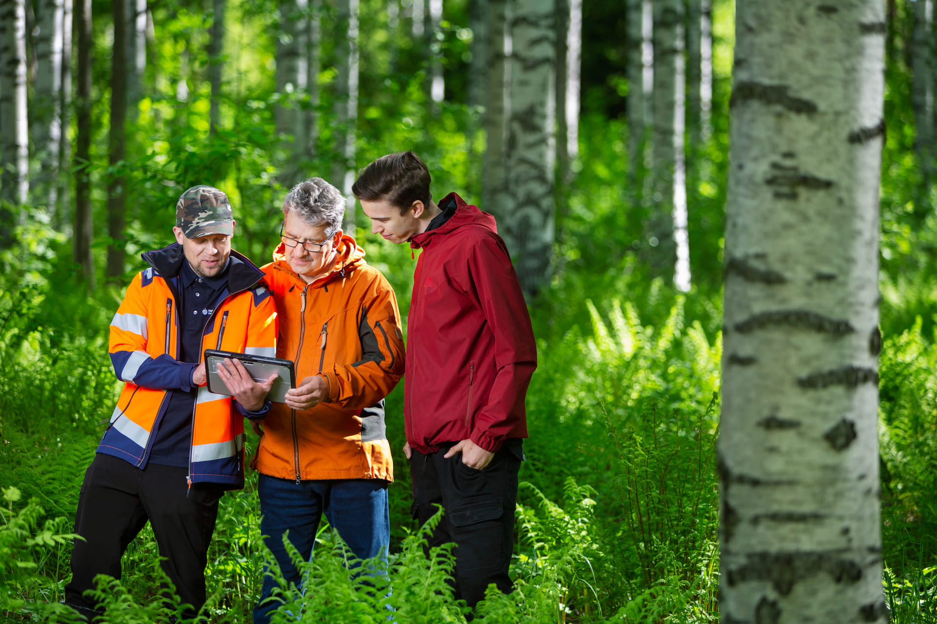 Metsänhoitoyhdistys Rokua-Paljakka ry
