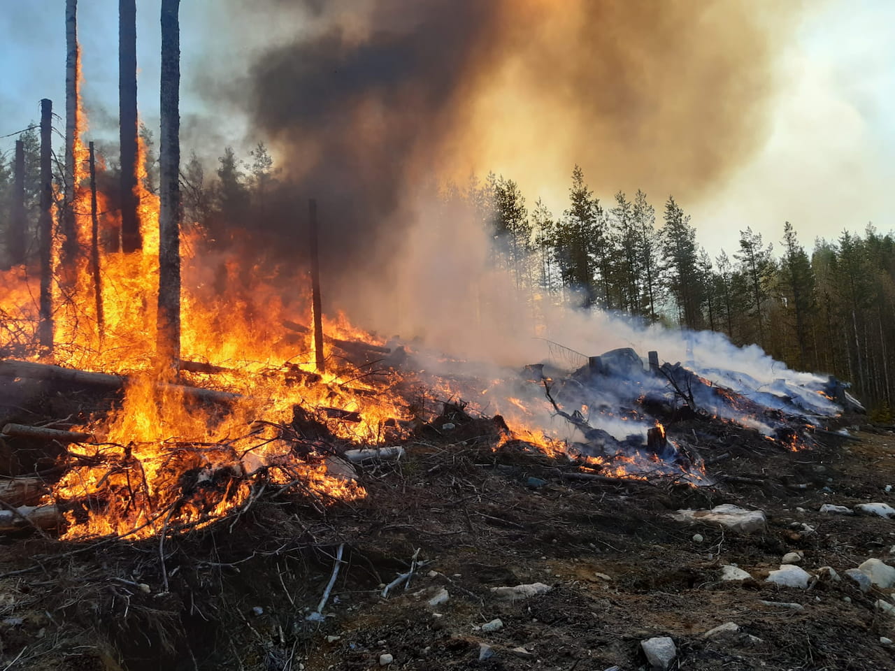 Kulotusyhteistyö TeMePan kanssa alkaa!