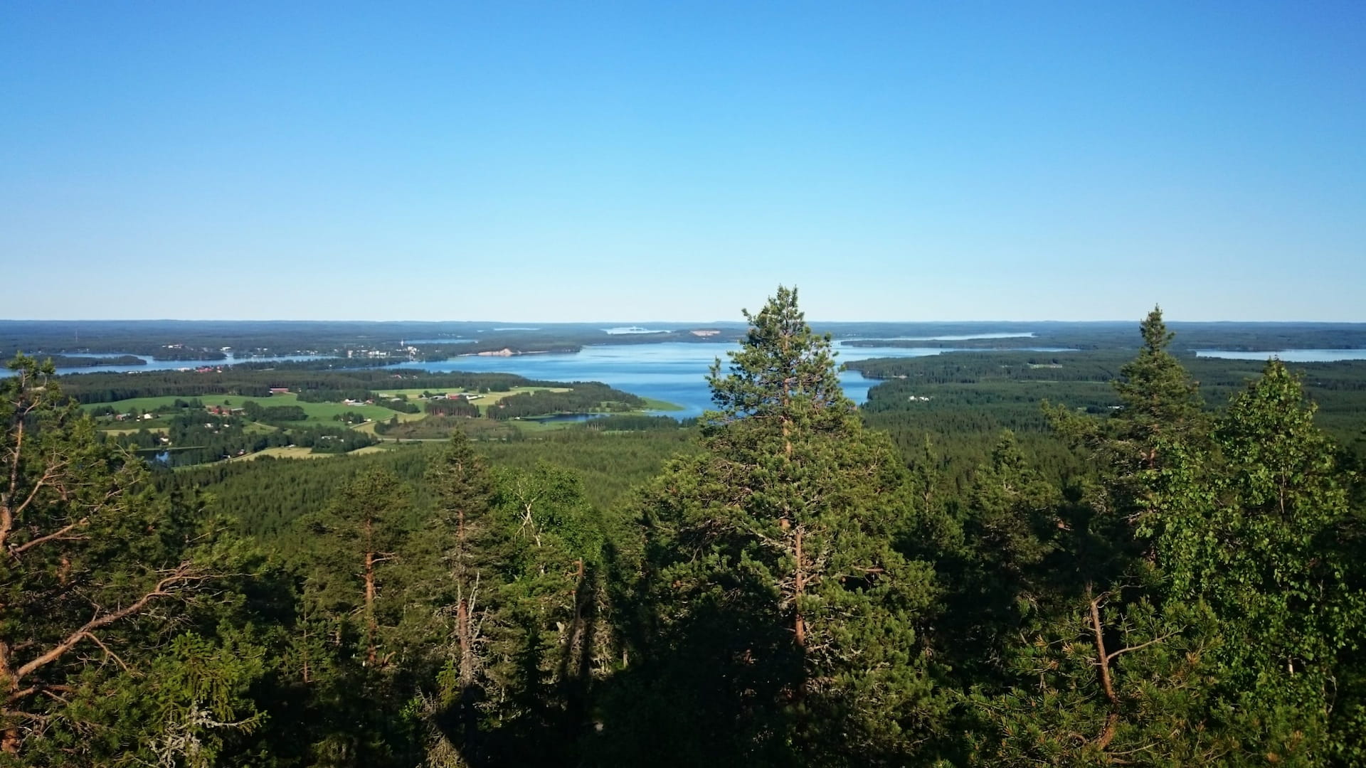 Metsänhoitoyhdistys Sotkamo