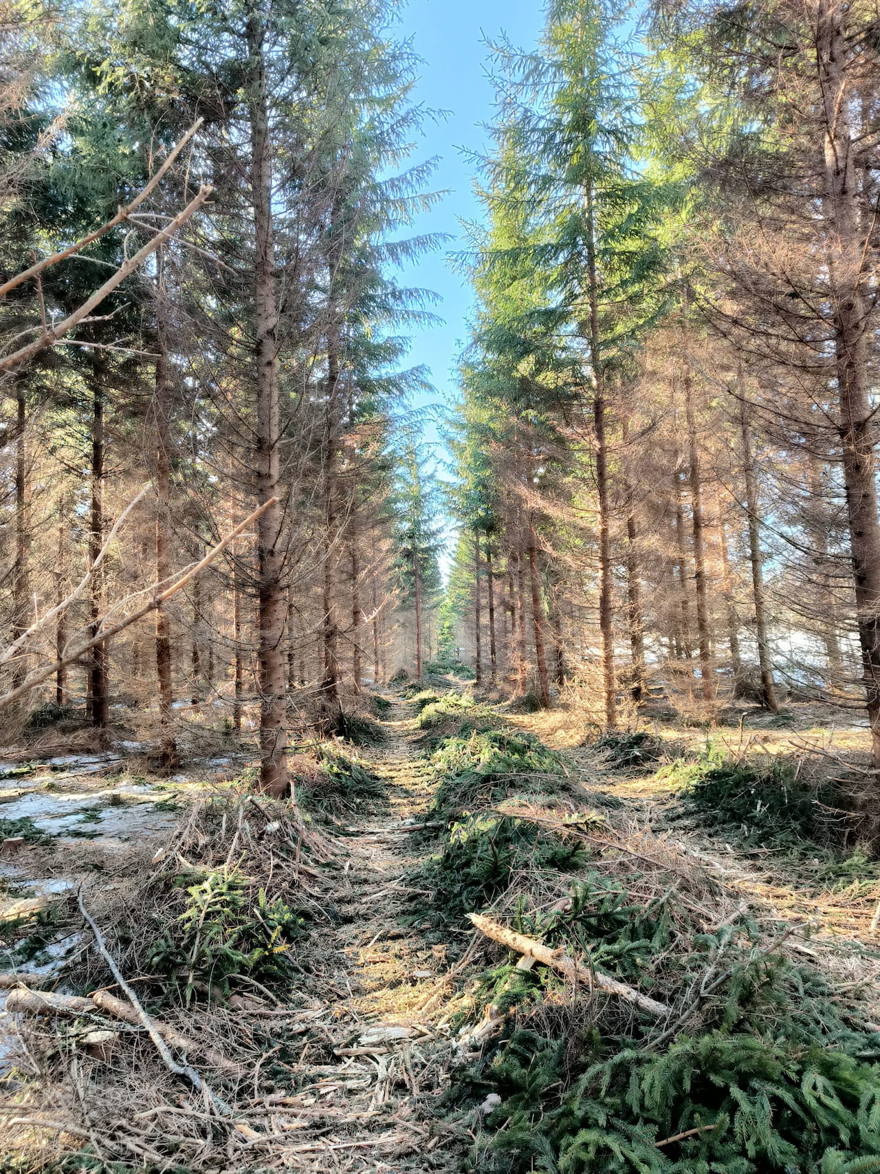 Vi söker två engagerade och initiativrika revirinstruktörer