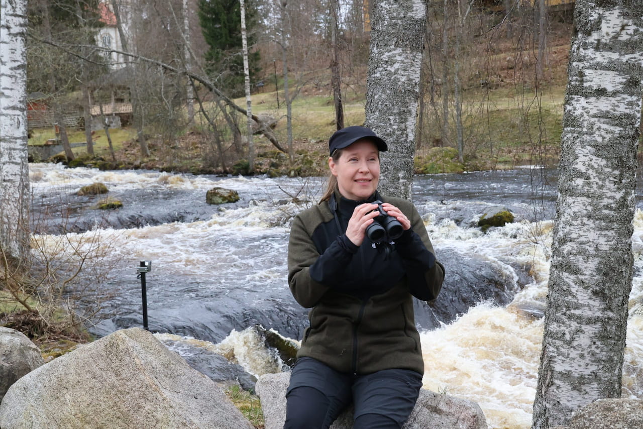 Luonnonhoidon asiantuntemusta metsänhoitoyhdistyksestä