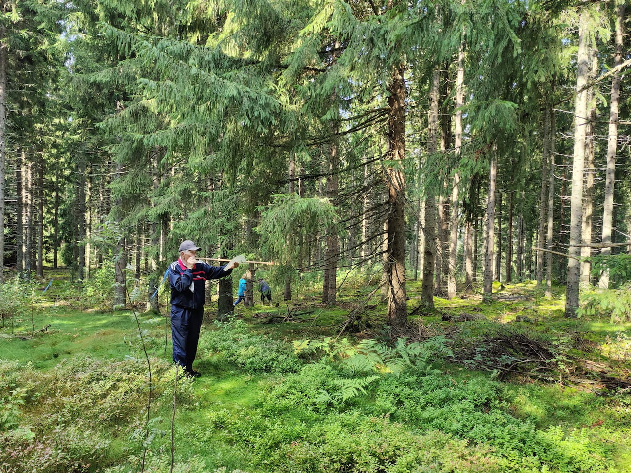 Metsätaitokilpailut la 17.8.2024 Savonlinnassa - Tulokset