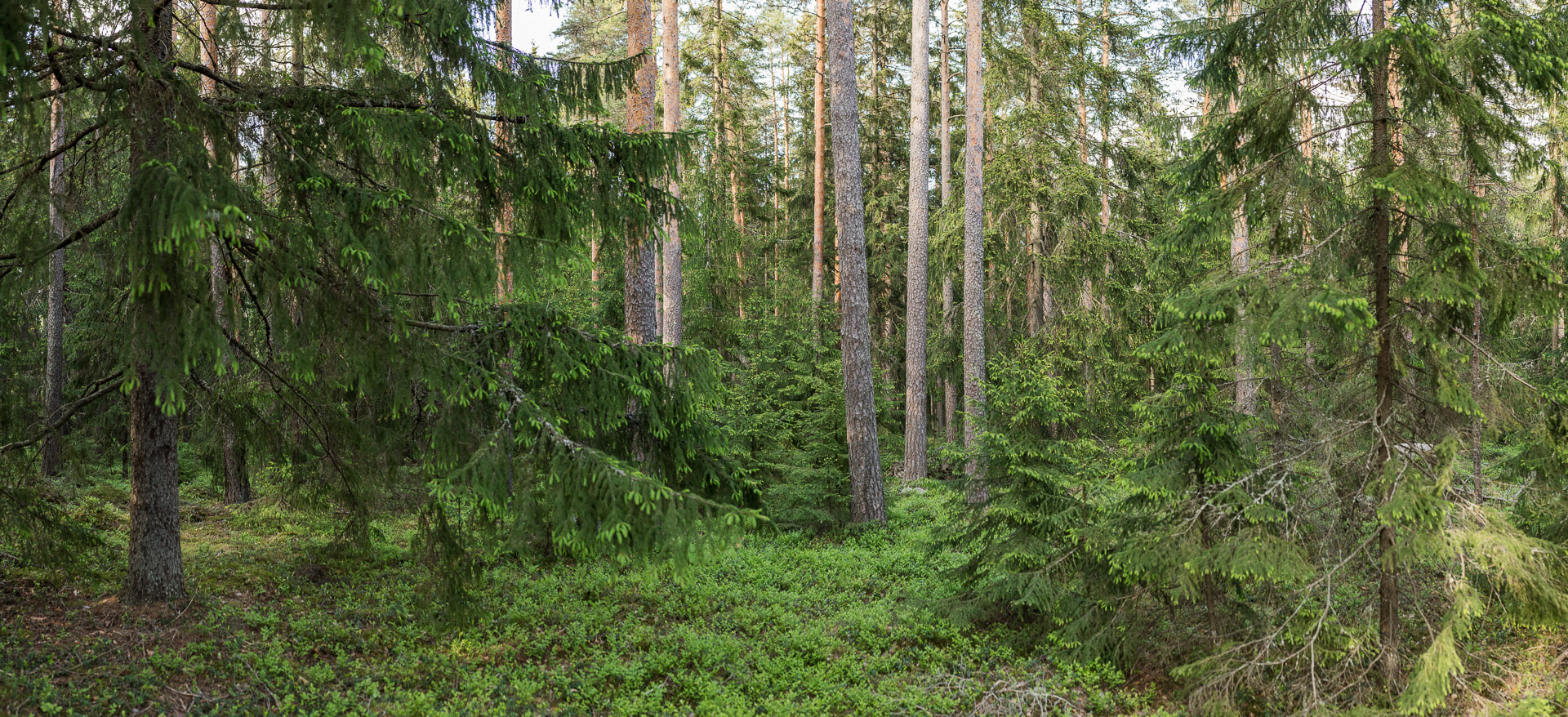 Oletko muuttanut? Muista tehdä osoitteenmuutos