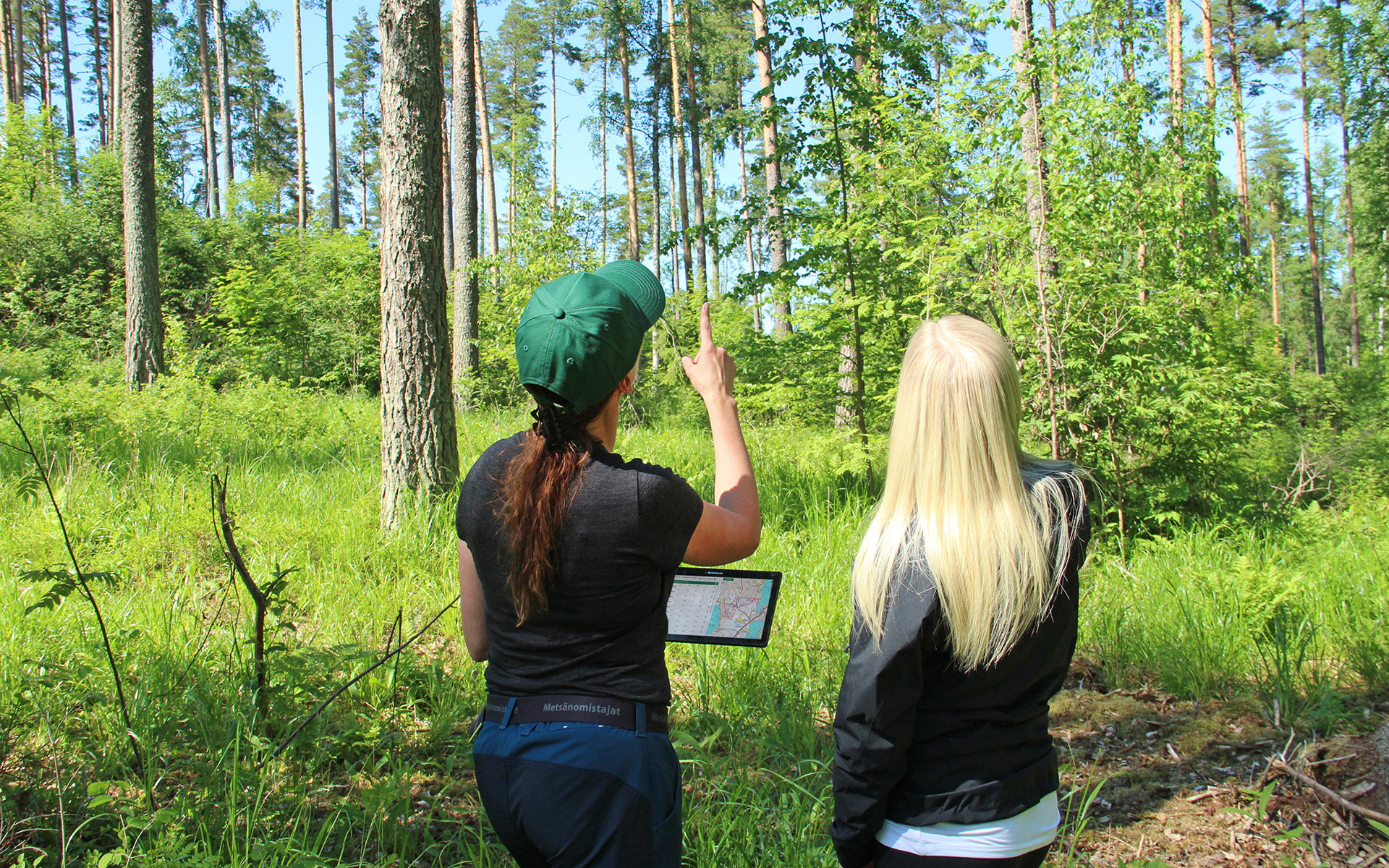 Oma metsäasiantuntija tuntee metsäsi