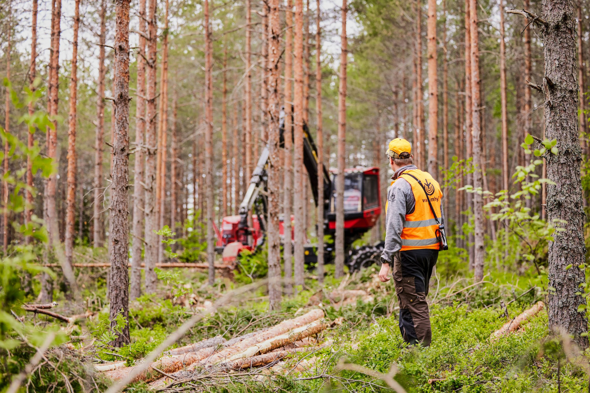 Metsänhoitoyhdistys Pohjois-Pirkka tuntee metsäsi