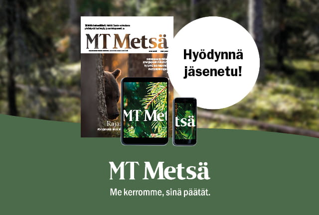 MT Metsä -40%