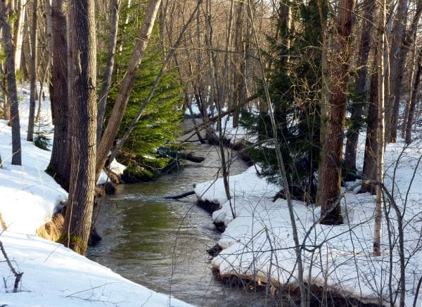 Talvinen metsä ja puro