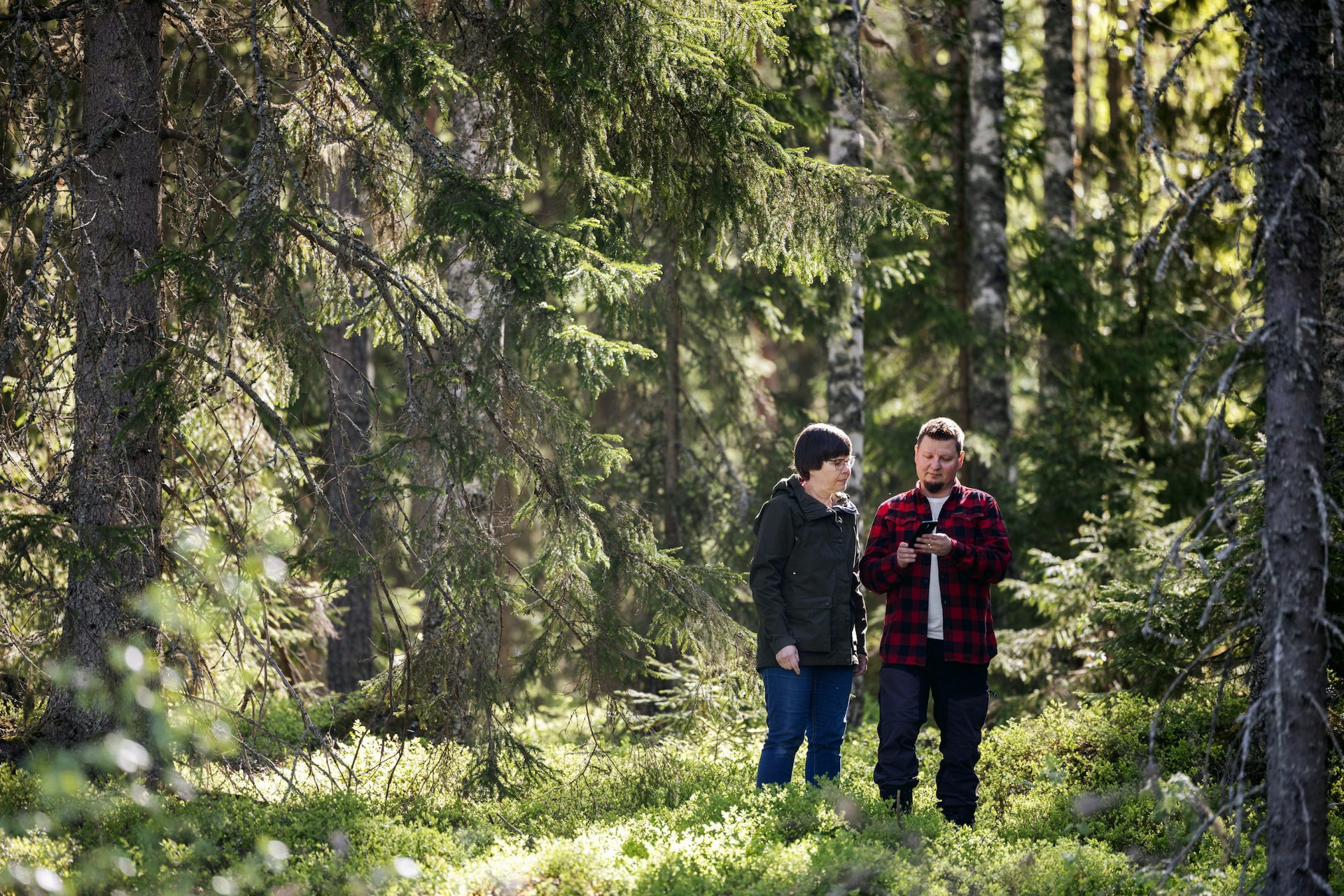 Tervetuloa Metsänhoitoyhdistys Pirkanmaan sivuille