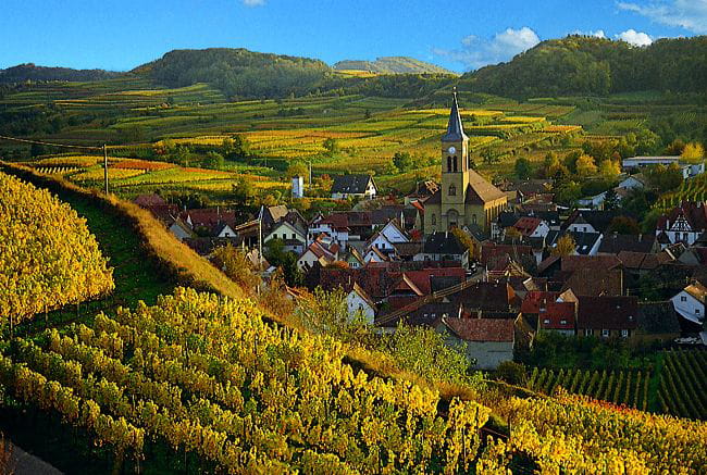 Metsämatka Schwarzwald